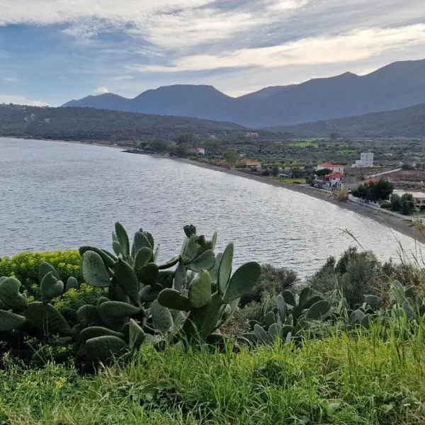Dream, hotel en Kamáres