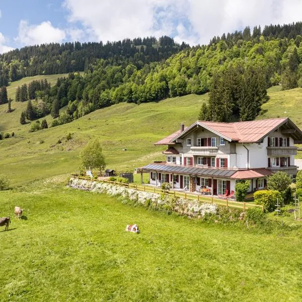 Alpenrösle Ferienwohnungen - Berge - Ruhe - Traumaussicht, 2- und 3-Raum-Wohnungen, Panoramasauna, hotel v destinácii Balderschwang