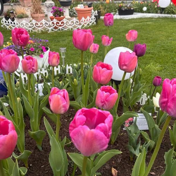 Casa Rehman, hotel in Ratzeburg