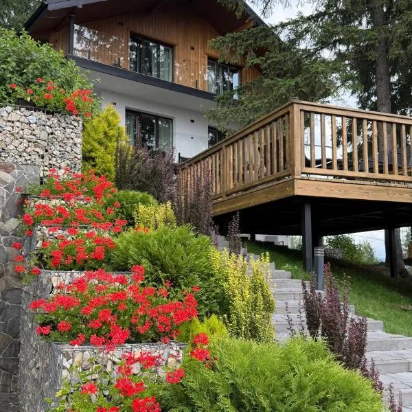 Gogodz Chalet Resort, hotel i Yablunytsya