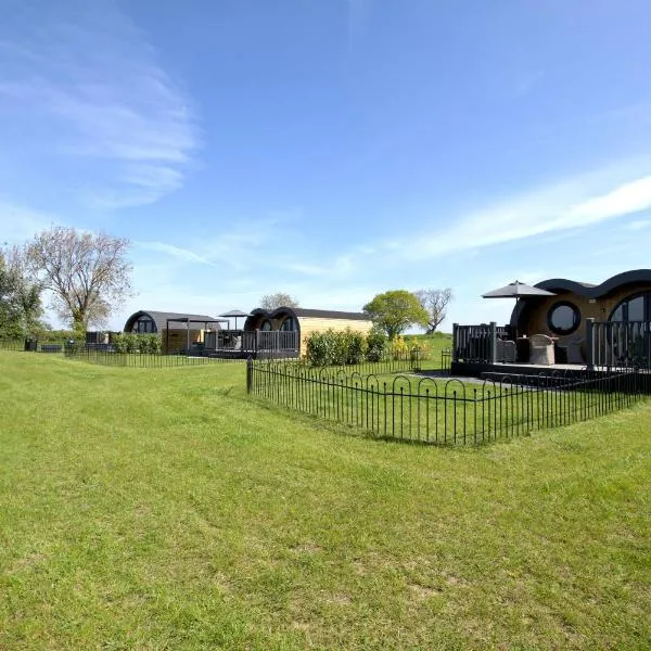 Hollins Farm - Dog Friendly, Self Catering Holiday Lodges, hotel in Knaresborough