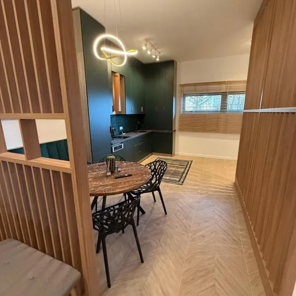Tomis Villa Center Studio, hotel v destinaci Constanţa