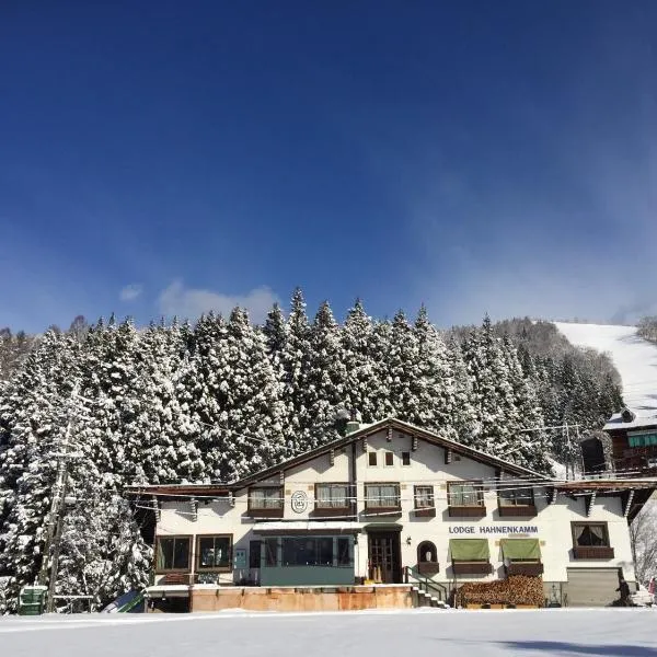 Lodge Hahnenkamm, hotel v destinaci Nozawa Onsen