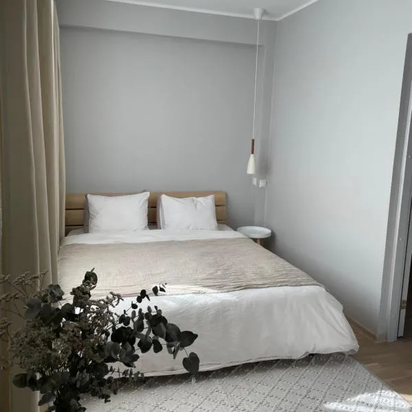 Pikk 10 City Apartment, free parking, готель у Пярну