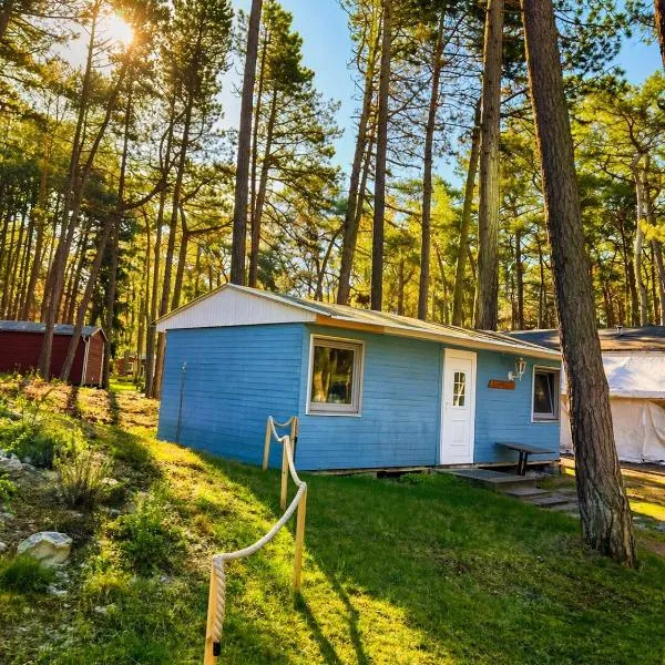 Camping Standard Bungalow Ferienwohnung auf Rügen - bis 5 Personen - nur 100m zum Naturstrand - mitten im Wald - Familien und Hunde herzlich willkommen - Feriensiedlung Schwalbennest, hotel i Dranske