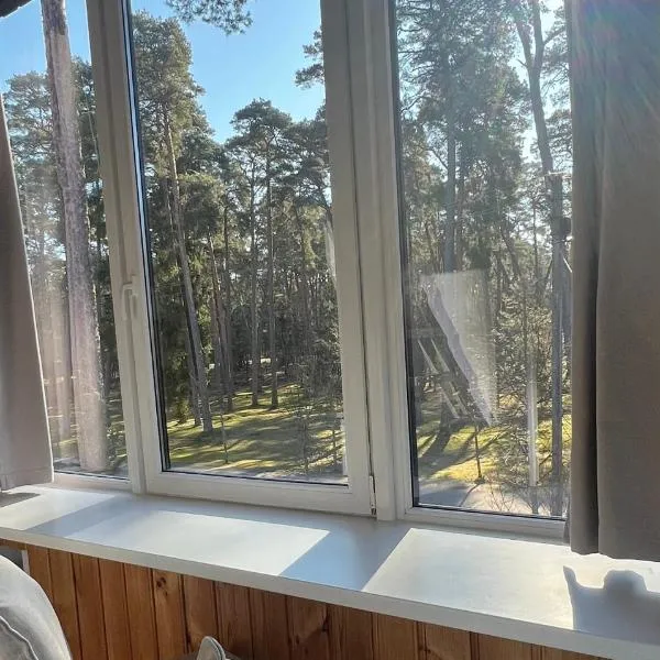 Kulautuva Park Apartments, hotel a Kulautuva