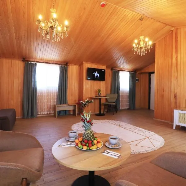 ALMIRCAN HOTEL, hótel í Trabzon