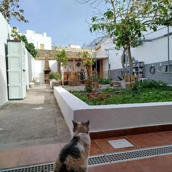 Susa and Pepe garden and house, Hotel in Agaete
