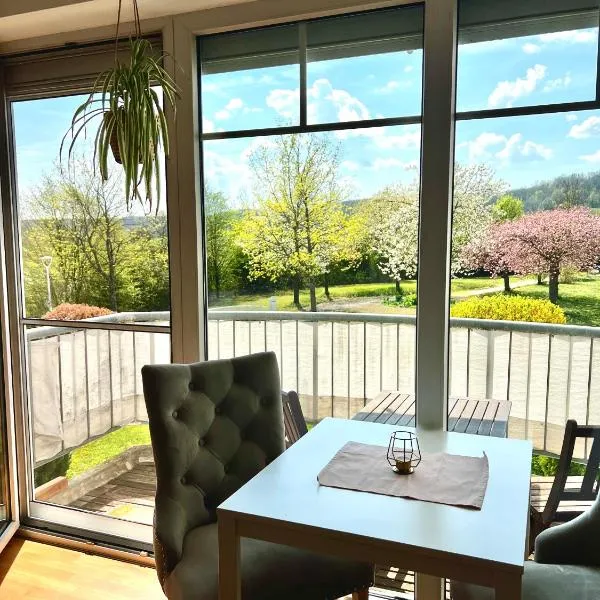 ERDEni-Appartment mit sonnigem Südbalkon zum Kurpark, hotel in Bad Rodach