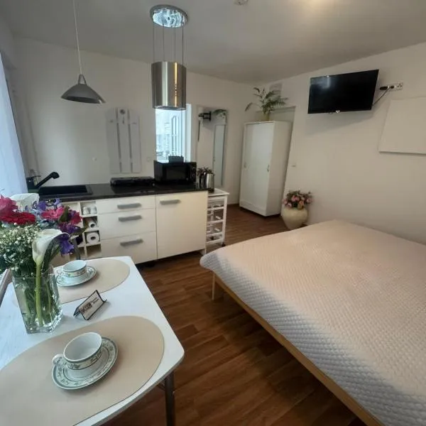 Penzion Tereza, hotel di Kraslice