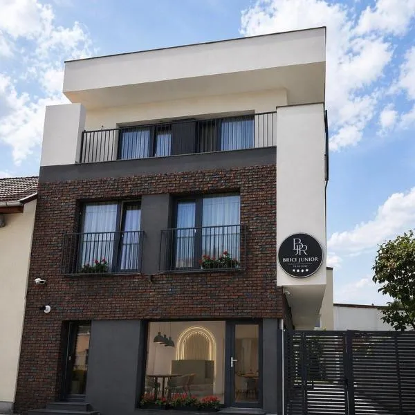 Pensiunea Brici Junior, hotel em Cluj-Napoca