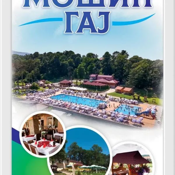 Restoran i Bazeni Mosin Gaj, hotel in Kraljevo