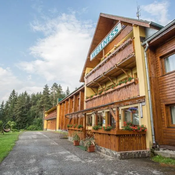 Demanovska Dolina में, होटल Hotel Bystrina