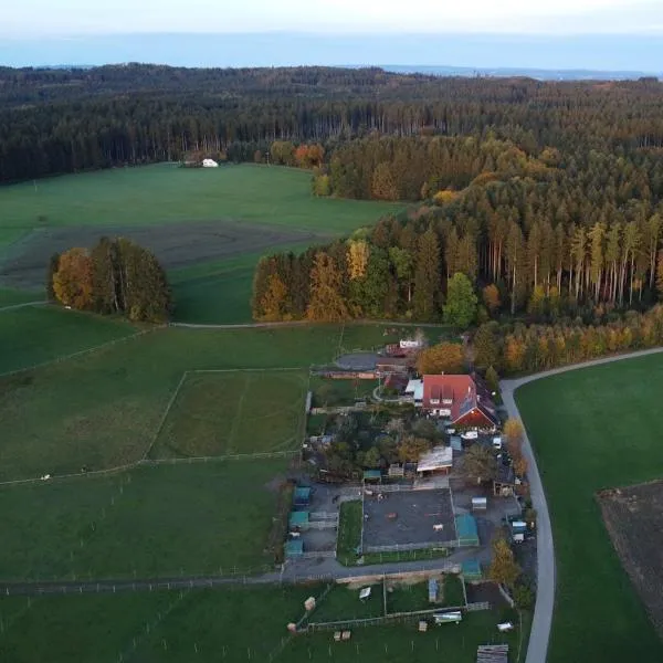 Ferienwohnung im Hinterland vom Bodensee，Vogt的飯店