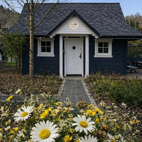 Szyszkowy Zakątek, hotel in Wisła