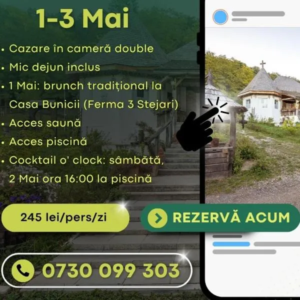 Mercure Medias Binderbubi Hotel And Spa, hotell i Mediaş