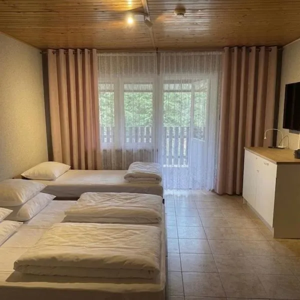 okuninkanoclegi, hotel in Okuninka