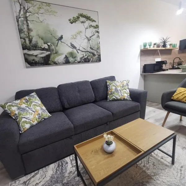 Odorheiu Secuiesc में, होटल River Apartman 2