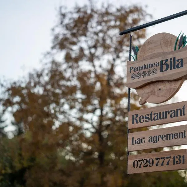 Pensiunea Bila, hotel en Naipu