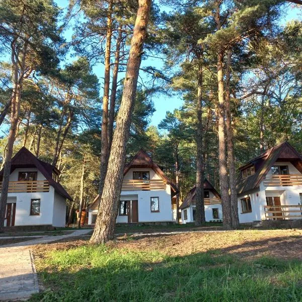 Domki nad Wierną Rzeką, hotel in Bocheniec