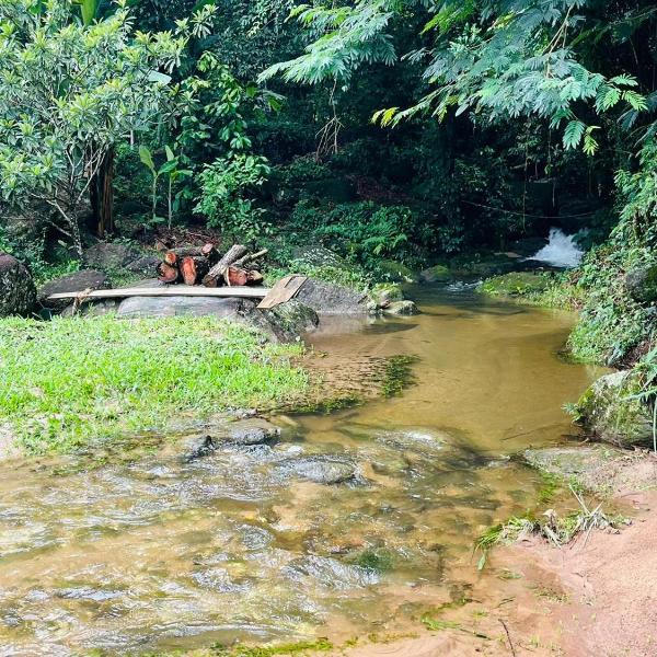 Sitio Bengala - Refúgio das Águas e Mata Nativa - Foto 5