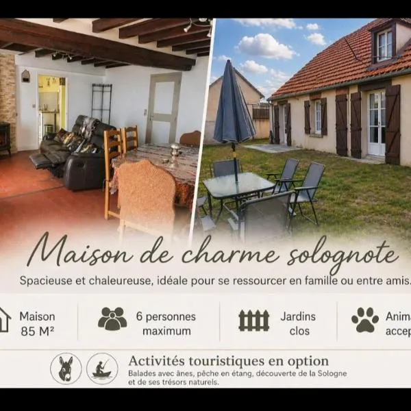 Maison de charme solognote, hotel in Neung-sur-Beuvron