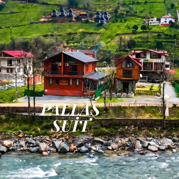 Pallas Suit, hotel v destinácii Ardeşen