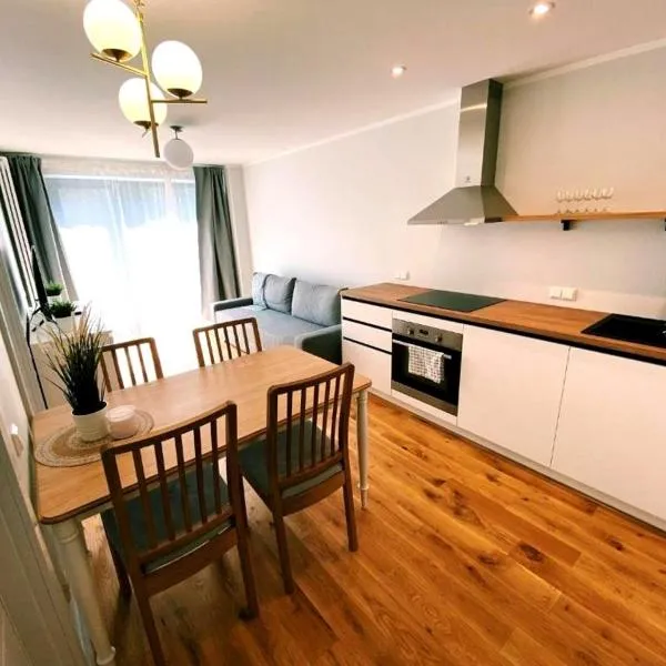 Ķesterciems에 위치한 호텔 Albatross Mini - 2 Room Seaside Air-conditioned Apartment with Balcony