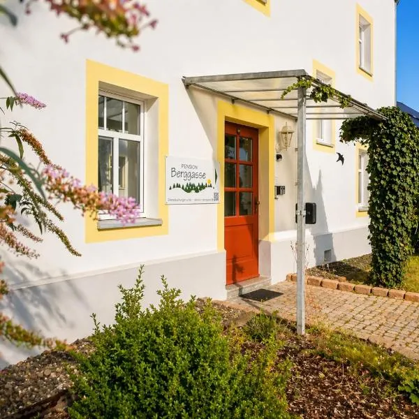 "Pension Berggasse" - Ruhige Lage im Zentrum von Olbernhau!, hotel v destinácii Olbernhau