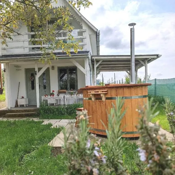 Pacsirta Kicsiház, viešbutis mieste Nagykónyi