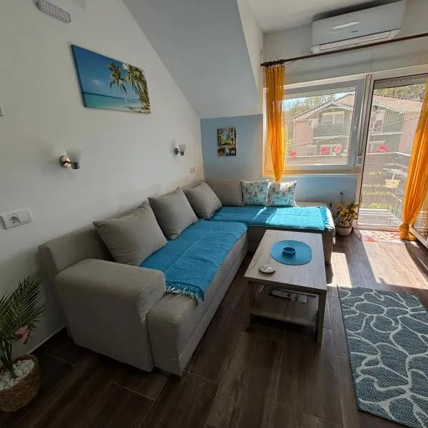 Vila Mir Banja Vrujci, Hotel in Gunjica