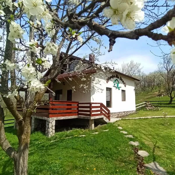 Căsuța din Livadă Schiulesti, hotel sa Schiuleşti