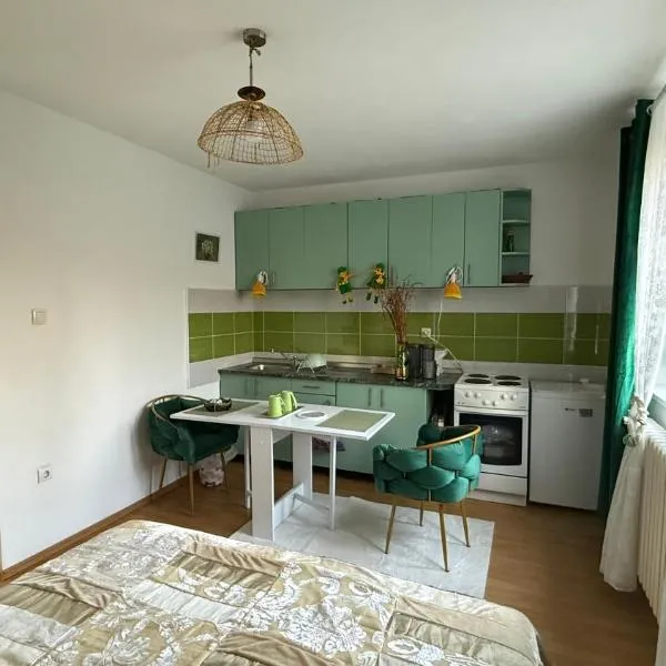 Kukic Apt, hotel v Banji Luki