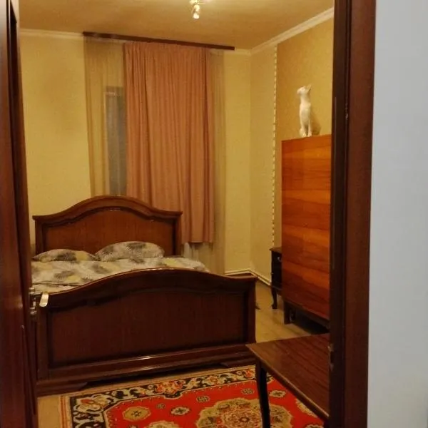 GuestHouse ED&ER near airport, hotel i Geghanist