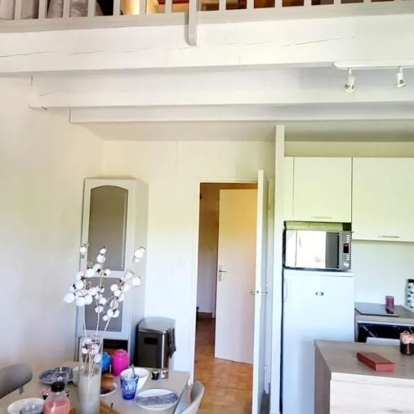 Duplex Camargue Village, hotel in Le Grau-du-Roi