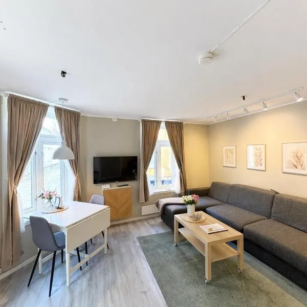 Stor attraktiv studioleilighet i sentrum, hotell i Trondheim