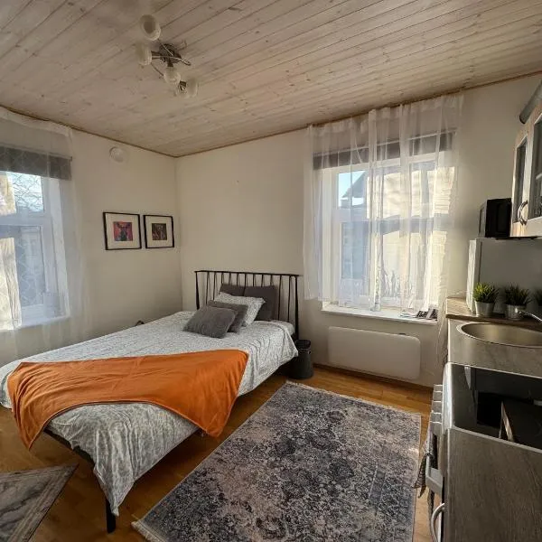 Laura comfy city apartment studio Kappeli 8-2 near Tallinn airport, next to the bus station, готель у Таллінні