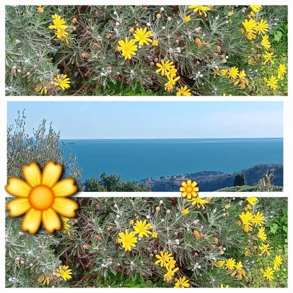 TraMonti e Mare, vista mare giardino, la casa che in ogni stagione si trasforma!، فندق في سيلي ليجور