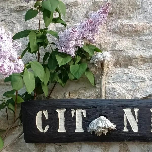 Cit Ni, hotell sihtkohas Bosia