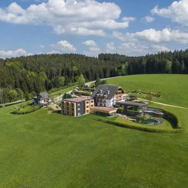 Hotel Schwarz Alm Zwettl, hotel in Oberneustift