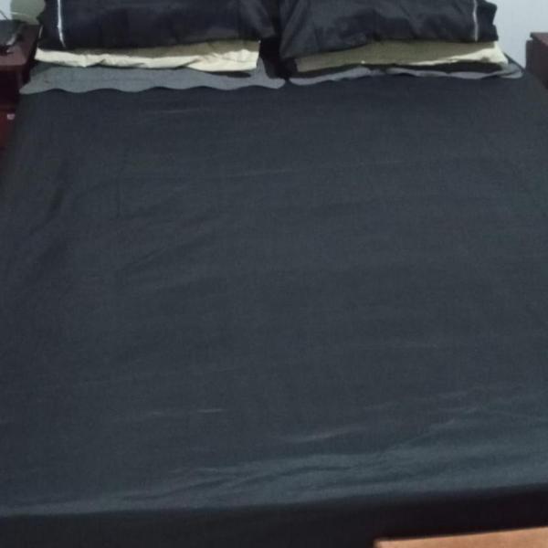 Leandra hospedada