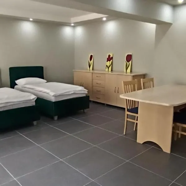 Central Studio Abrud, hotel in Abrud
