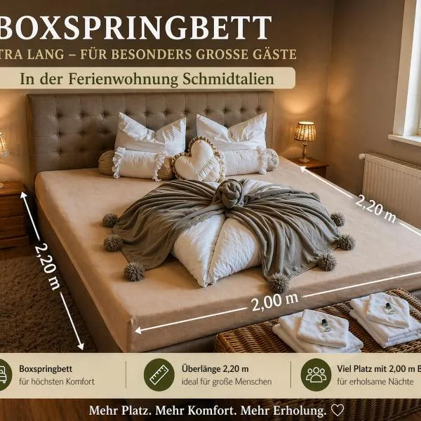 Ferienwohnung Schmidtalien,inklusive Infrarotsauna, hotel en Dommitzsch
