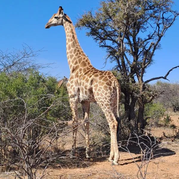 Leopard Lagoon 41 Holiday Home Dinokeng Big 5, hotel en Klipdrift