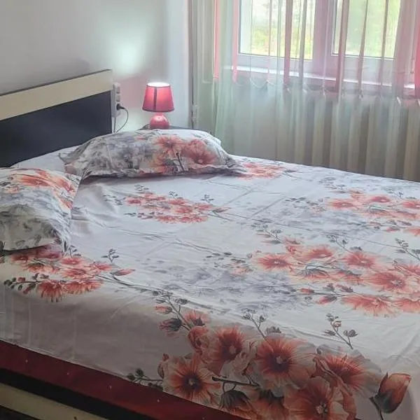 만갈리아에 위치한 호텔 Apartament 3 camere Neptun