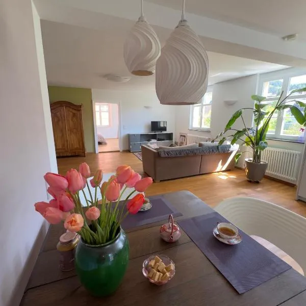 Maison Bleue Dreiländereck, Design Apartment mit Terrasse in historischem Landhaus nahe Basel, ξενοδοχείο σε Kandern