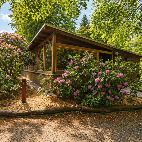 Großes Ferienhaus Bucheneck für Gruppen, Familien & Firmen 7 Schlafzimmer 3 Bäder große Terrasse nahe Rhododendronpark, khách sạn ở Kromlau