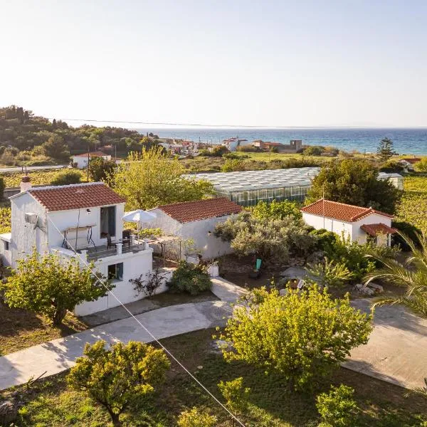 Thalia's Cottage - Cozy, Romantic Retreat with Sea & Mountain views, готель у місті Kámpos