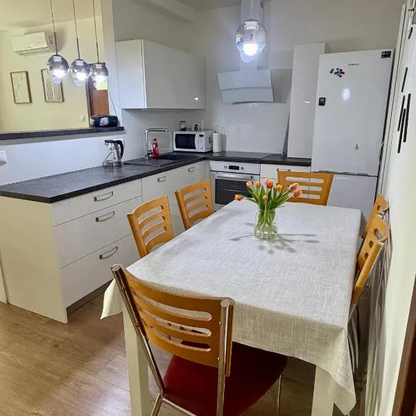 apartman DOMINUM, hotel v mestu Trenčín
