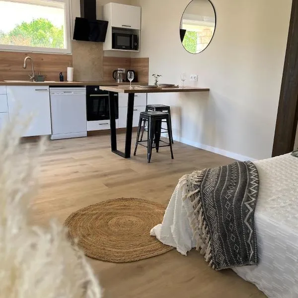 Charmant studio proche du centre-ville، فندق في أورانج